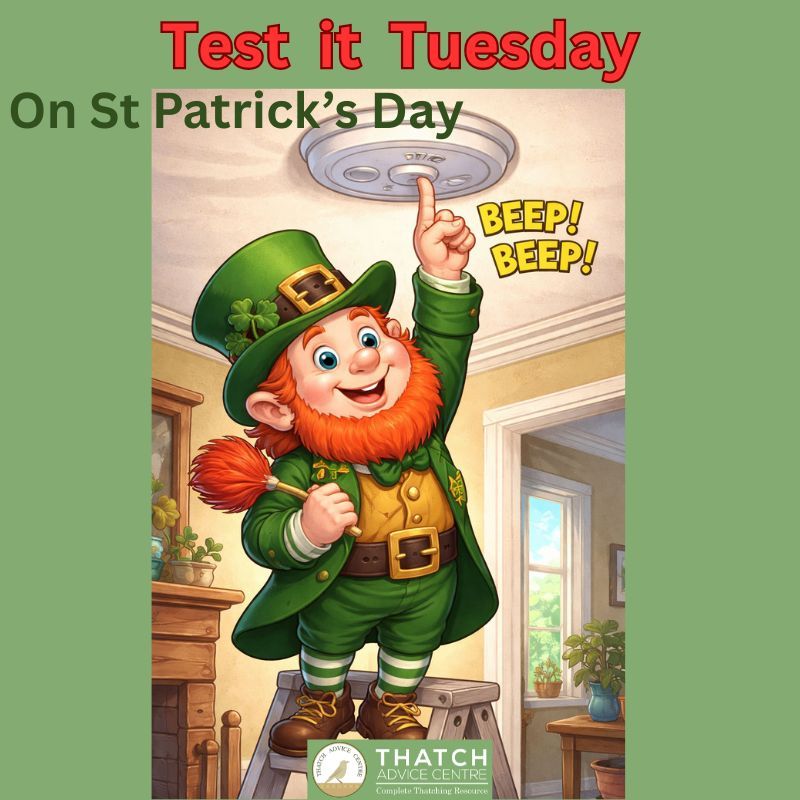 Thatch Advice Centre tweet media