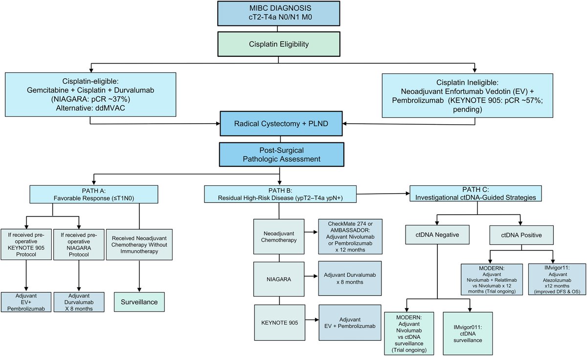 Enrique Grande tweet media