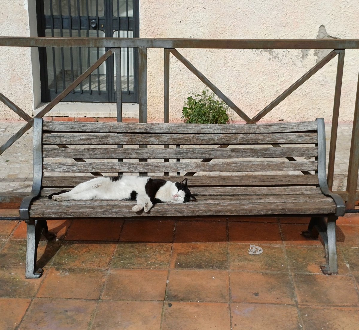 Carob Mill tweet media