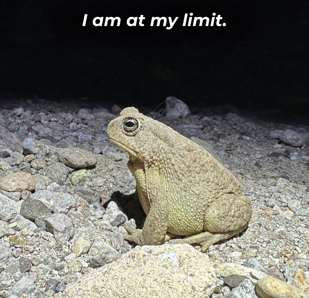 Landsknecht🇻🇦🇵🇱 tweet media