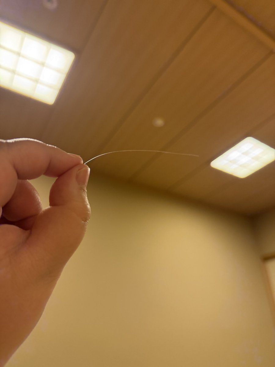 オダウエダ 植田 tweet media