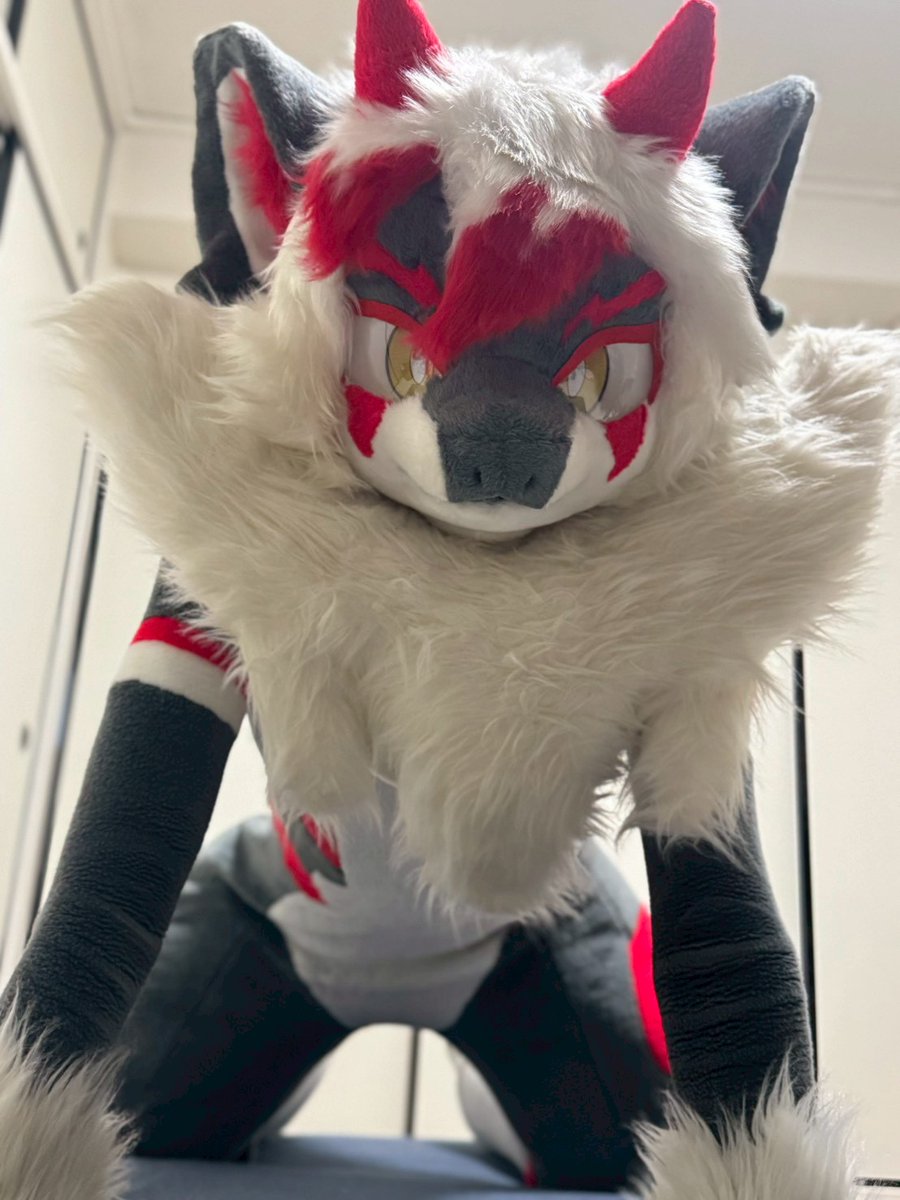 インコレーサー tweet media