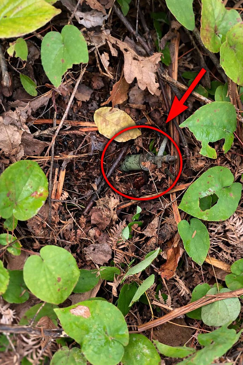 Mine Detection Dog Center in BiH tweet media