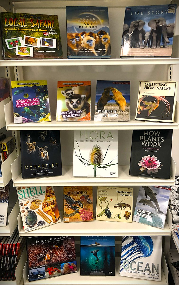 LibrarianSSA tweet media