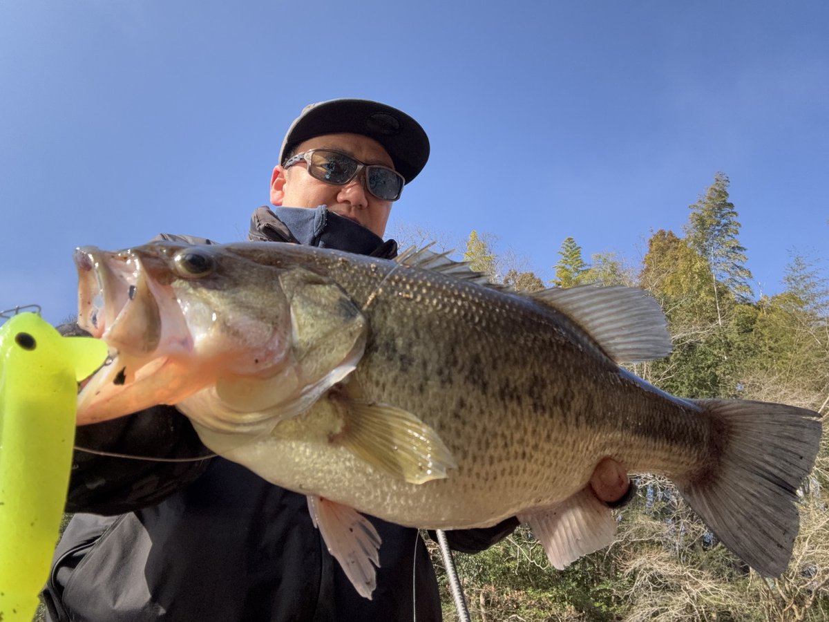 サカナツリマン (@skntr_man) / Posts / X