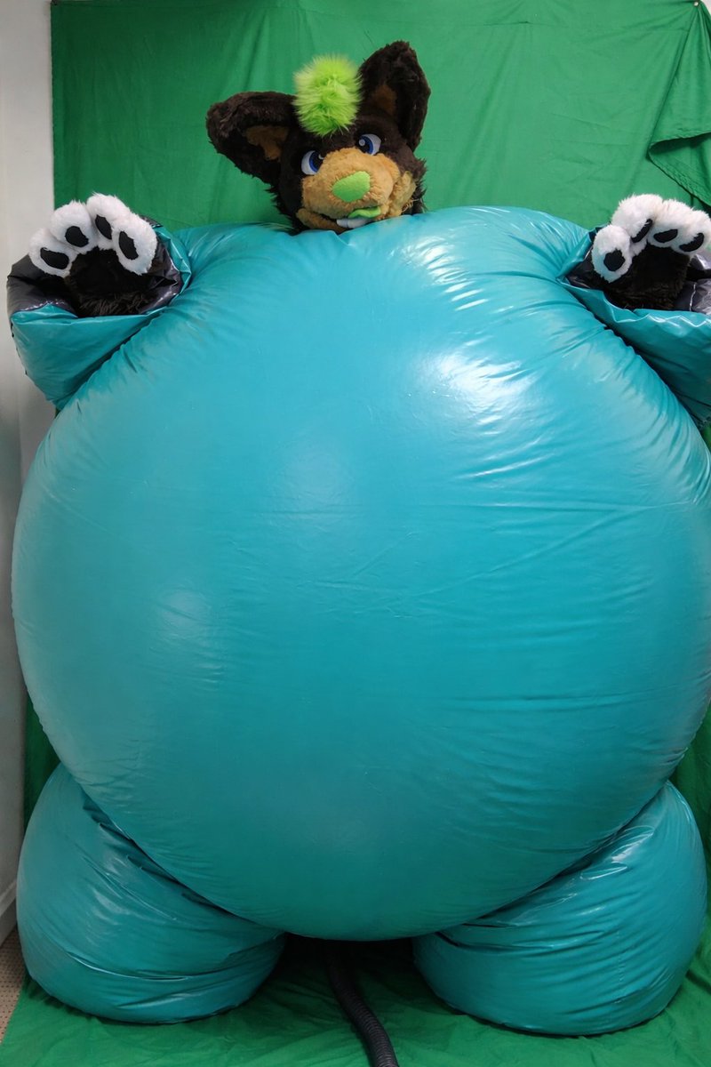 Roofuzz 25 @inflatedRoo🎈🦊 tweet media