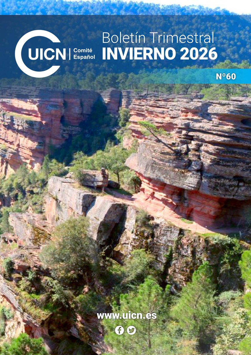 Comité Español UICN tweet media