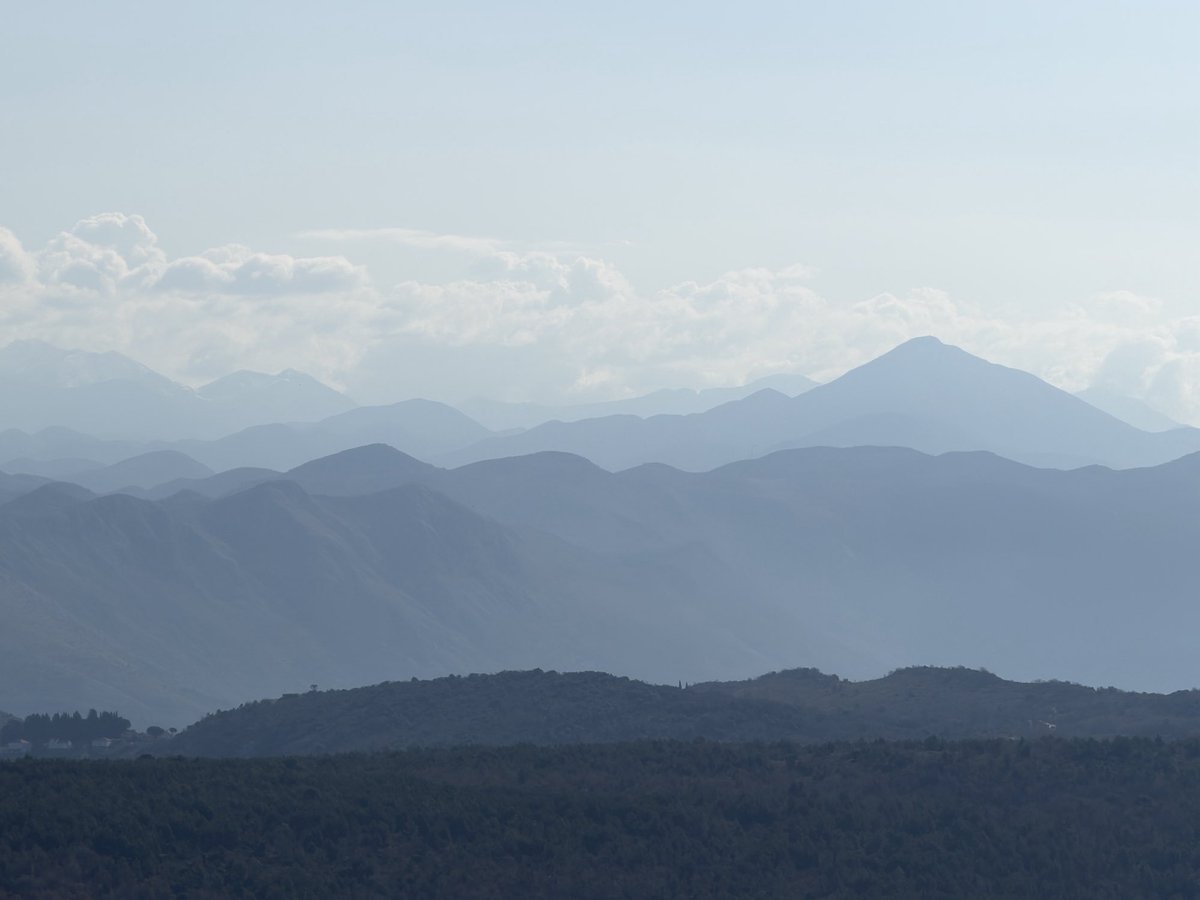 Alastair Hilton tweet media