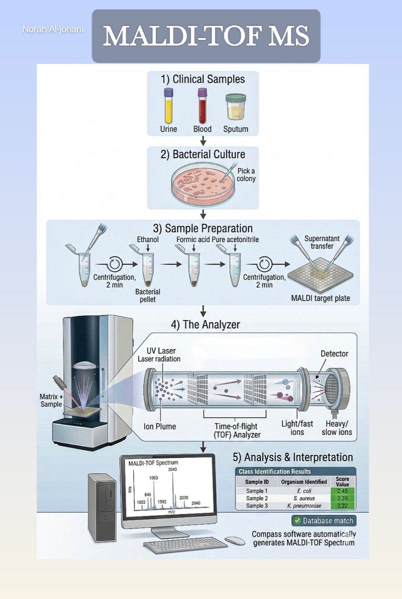Norah Al-johani tweet media