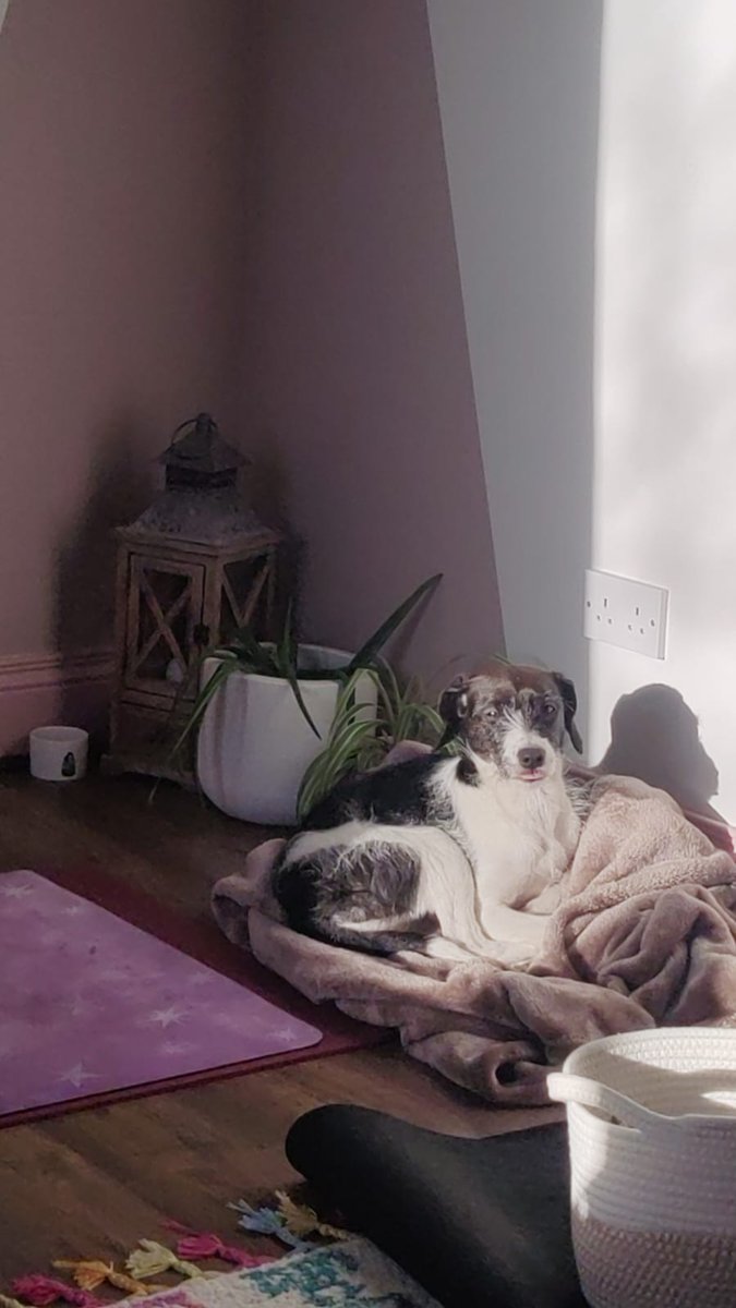 Jono Hughes tweet media