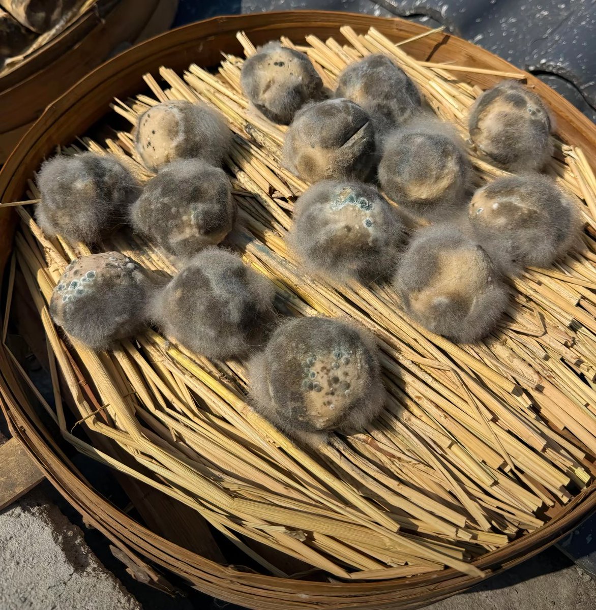 MOMO默默 tweet media