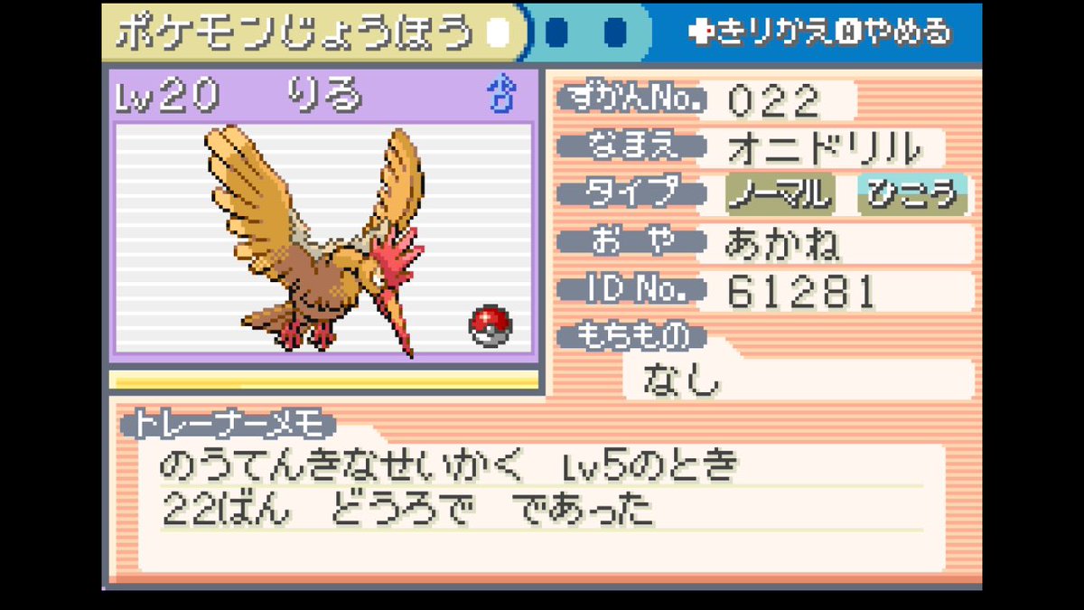nurittake's tweet photo. オニドリルやっと進化した😭
また一緒に冒険できるの本当に嬉しいよ〜😭

そして打倒カスミ！！レベル上げ頑張った！！ハナダジム、行くぞ！！！！ https://t.co/STi9Zqmd8C