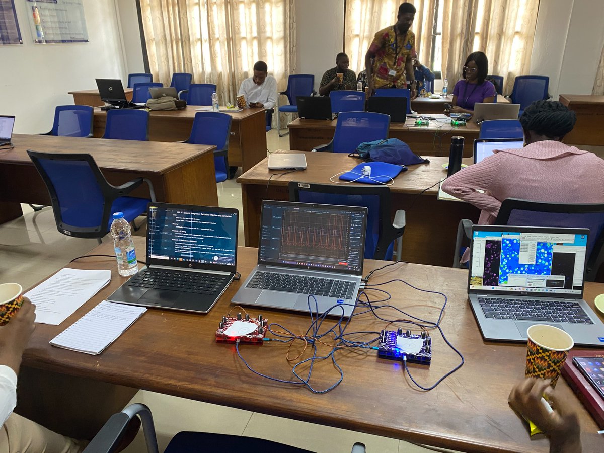 Open Source Neuro tweet media