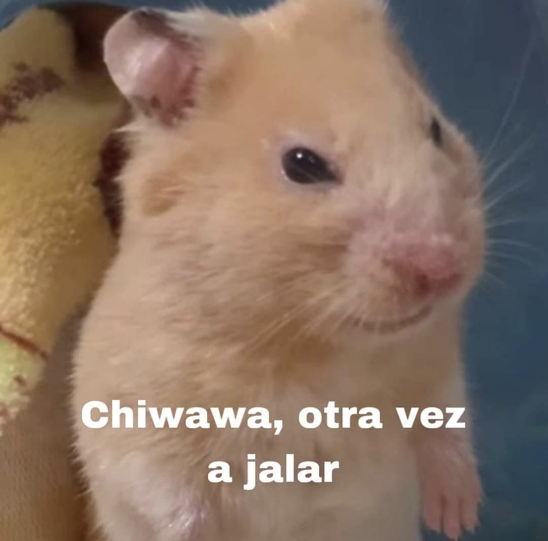 En Júpiter (@en_jupiter_) on Twitter photo 