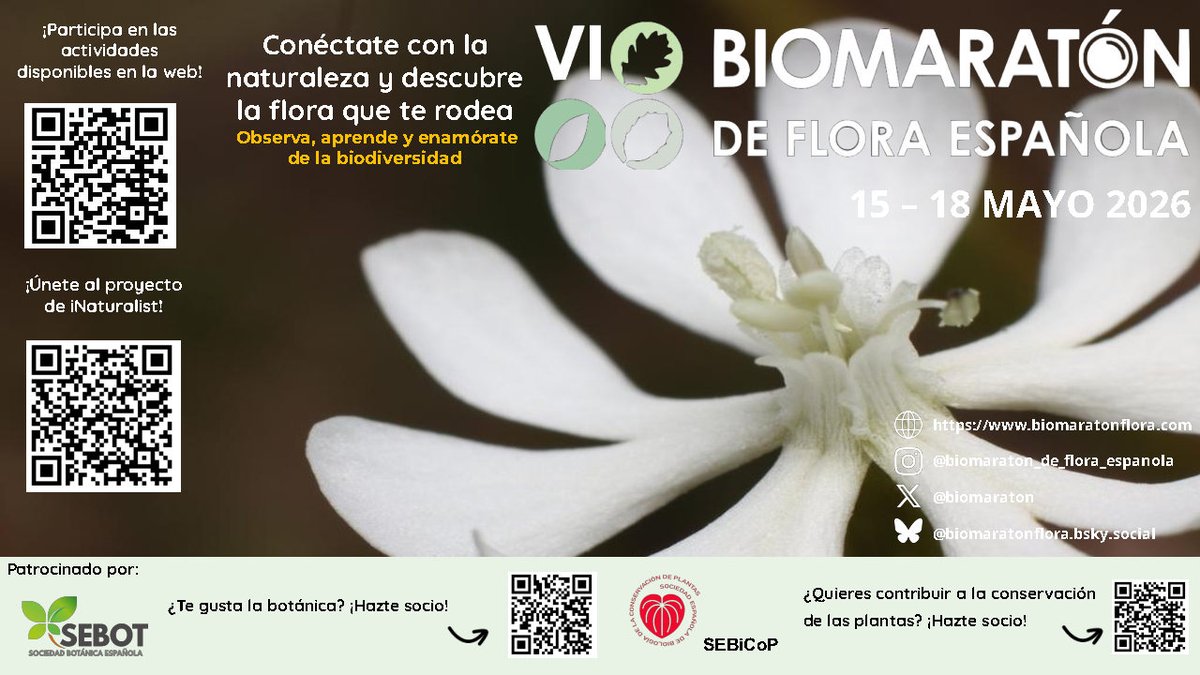 Biomaratón de Flora Española tweet media