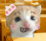 死对头 tweet media
