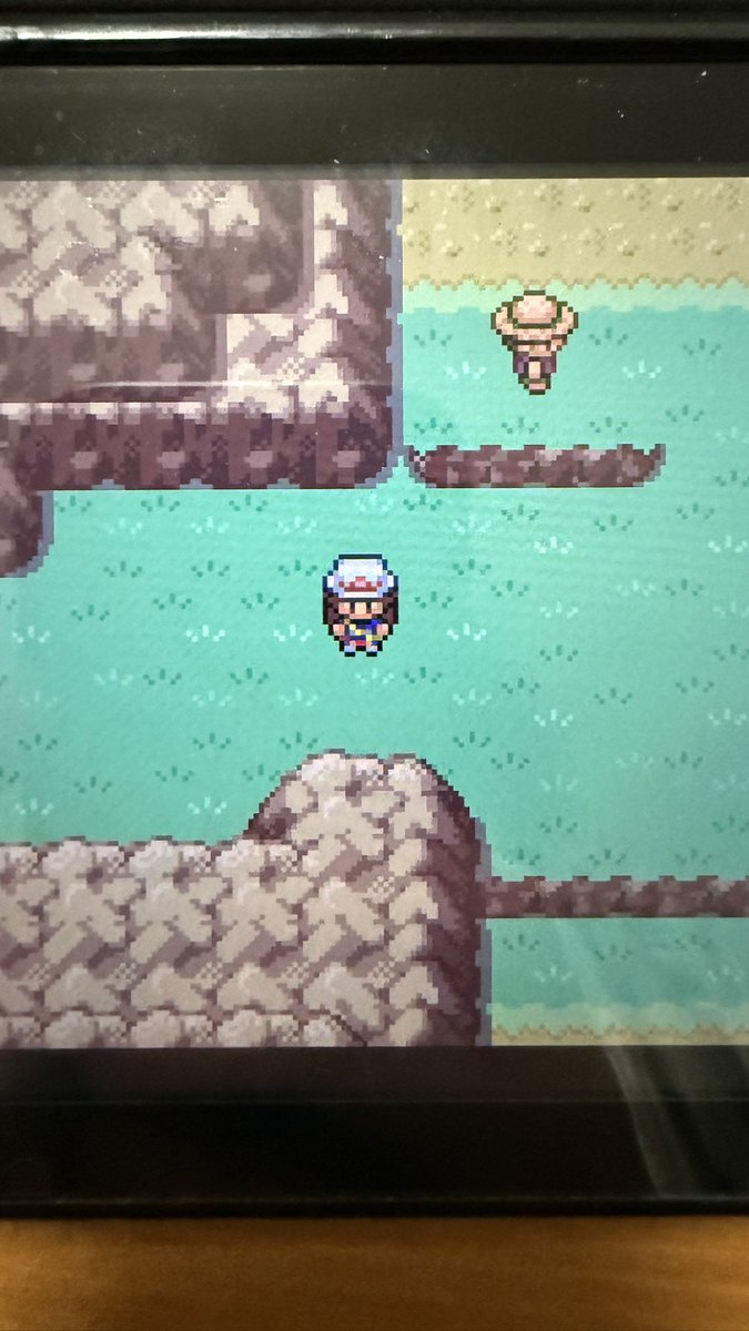 もりりん tweet media