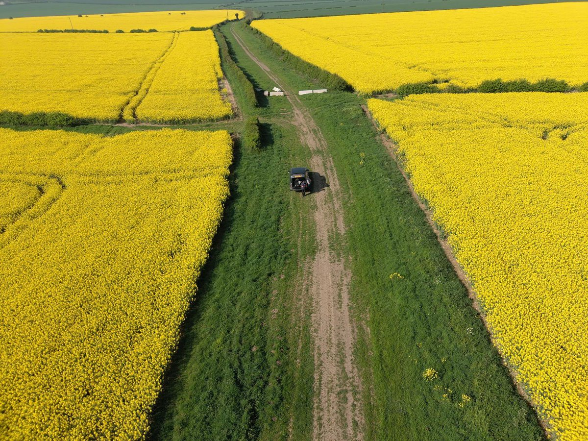 Saxon Agriculture tweet media