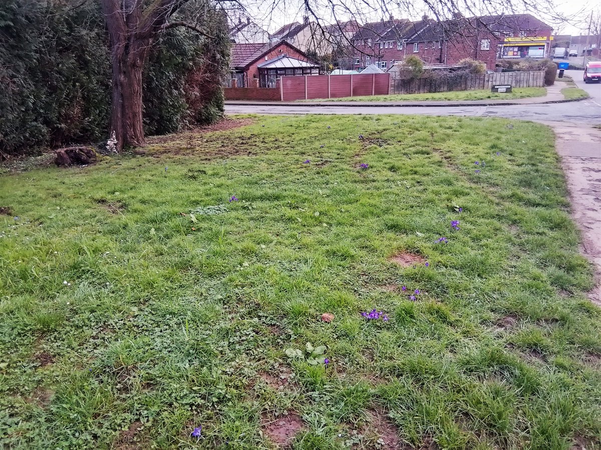 Forest of Dean District Council tweet media