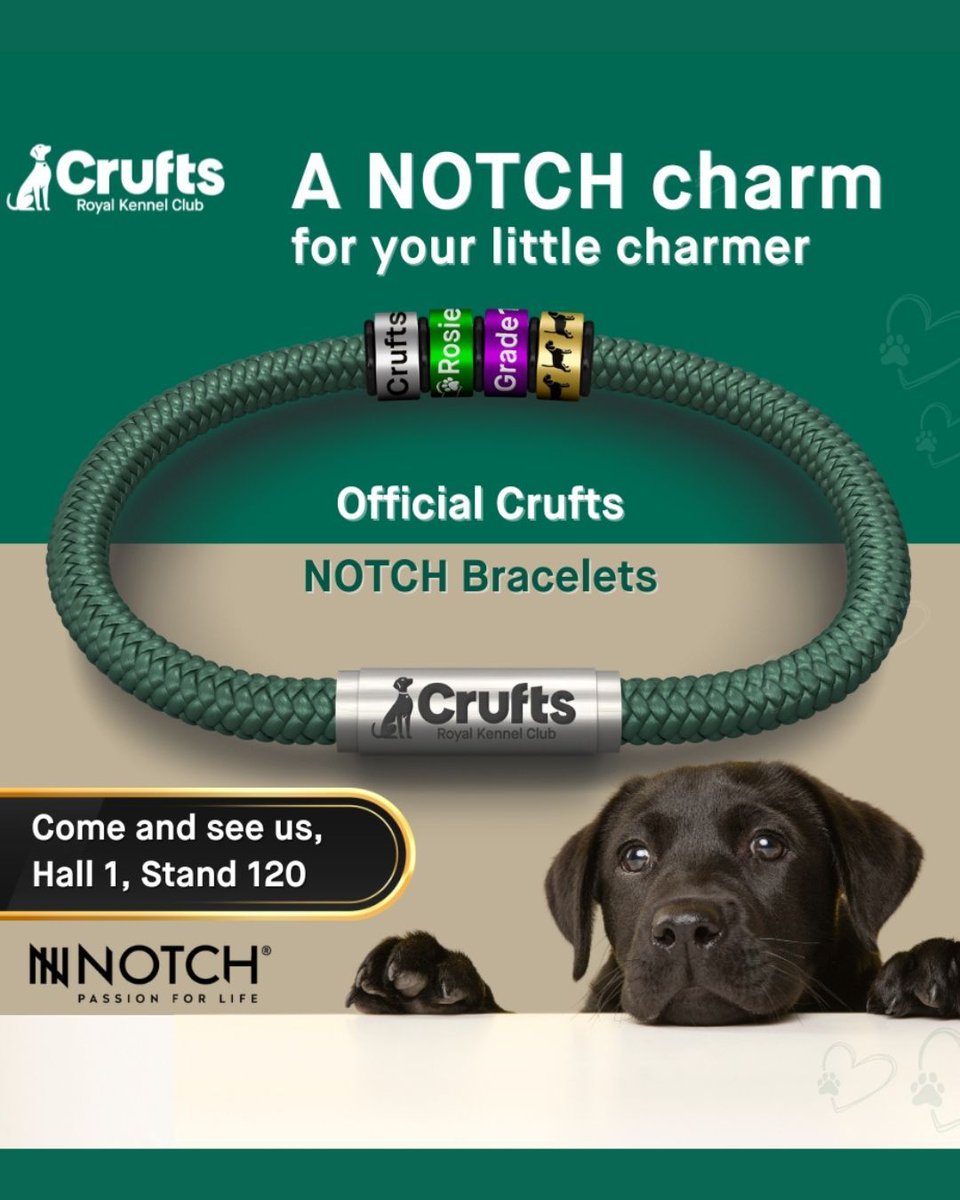 nextnotch tweet media