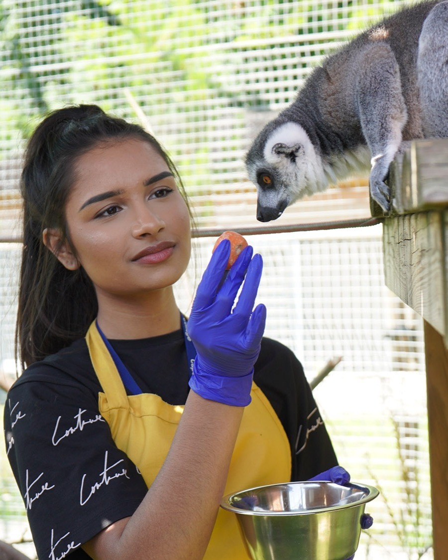 Capel Manor College tweet media