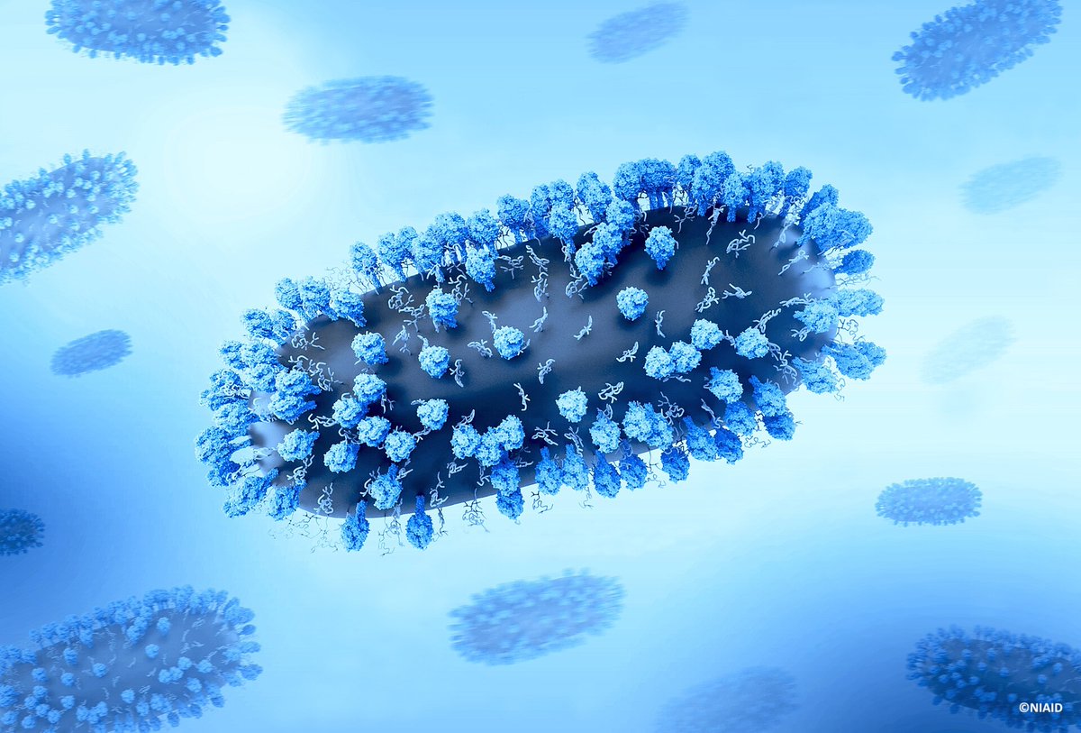 🧪💊 Les tests rapides de dépistage du #VRS sont associés à une diminution des prescriptions d' #antibiotiques chez les enfants.

ow.ly/nTpT50YppvP