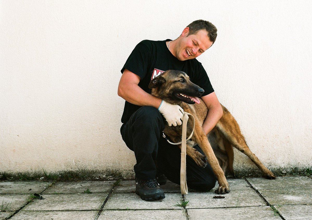 Mine Detection Dog Center in BiH tweet media