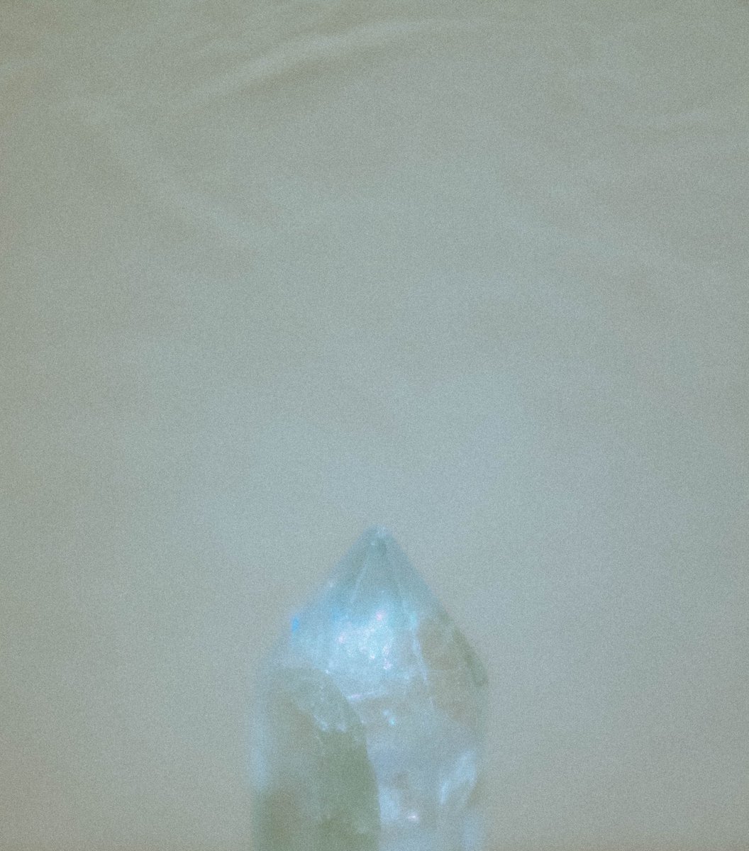 野田英季(ノダヒデキ) tweet media