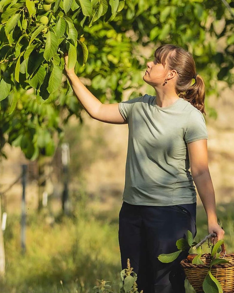 Benvinguts a Pagès tweet media