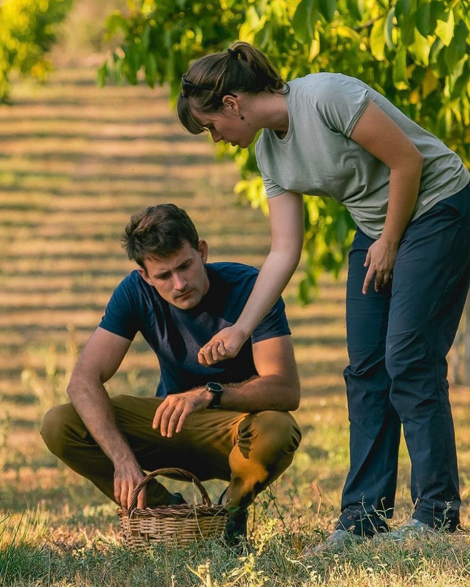 Benvinguts a Pagès tweet media