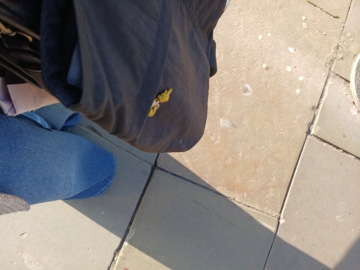 Gilly 🖤 tweet media