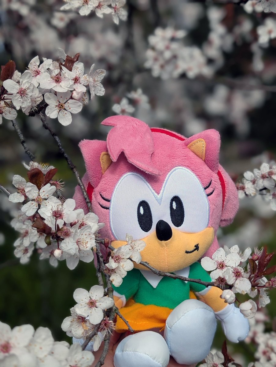 Spring reminds us that great things bloom from small starts - wishing everyone a Happy International Women’s Day!🌸