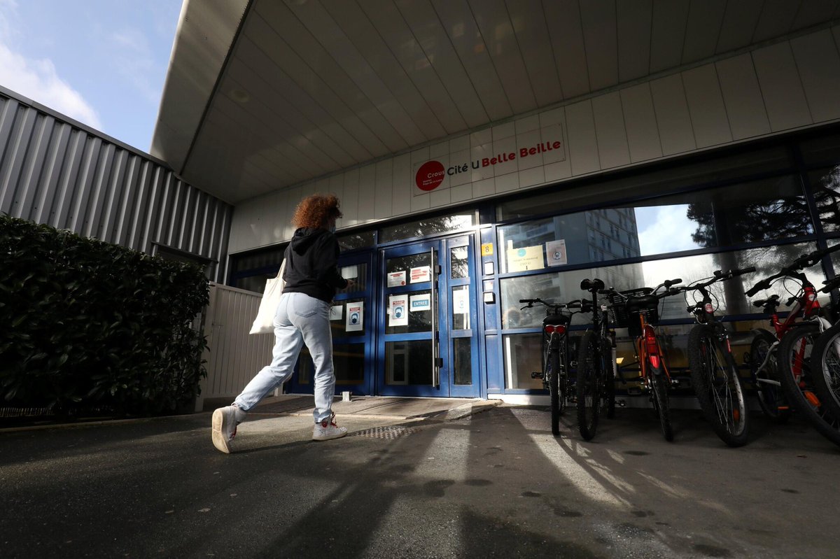 Le Parisien Étudiant tweet media