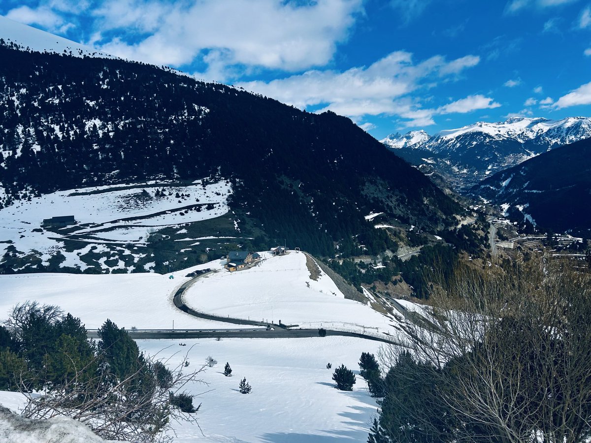 El hombre del norte tweet media