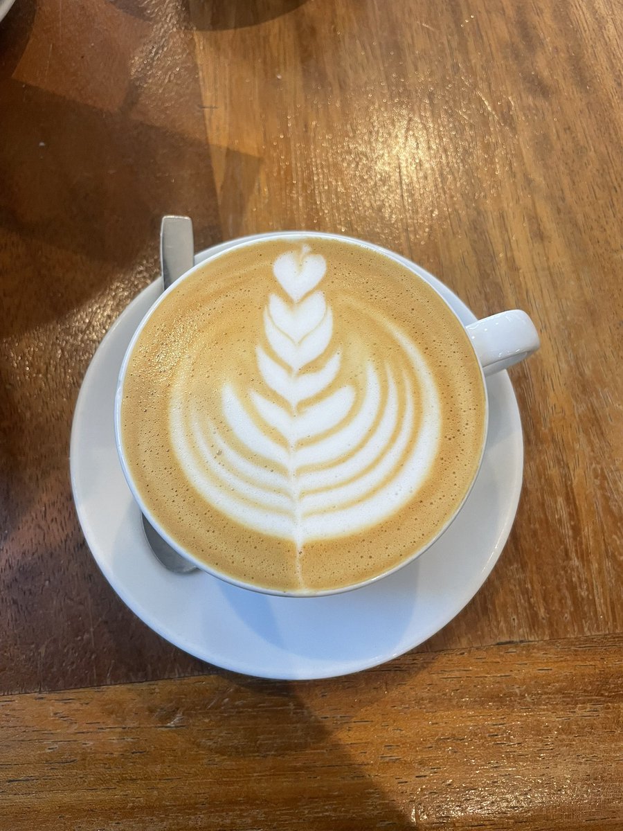 t'es pas content ? tulipe 8 bases dans tgl