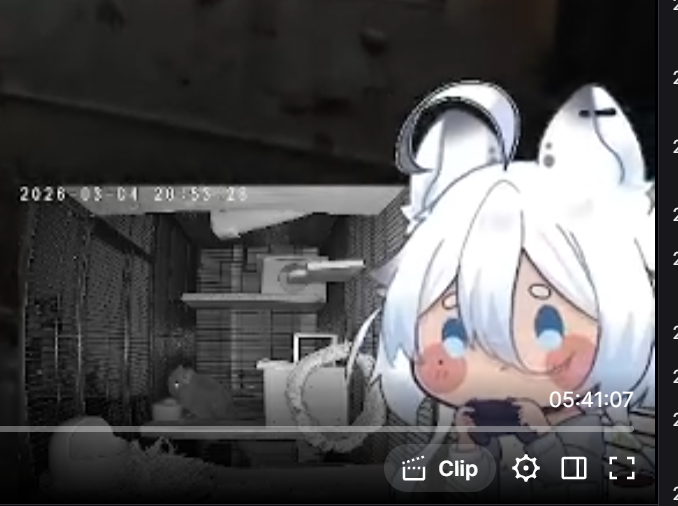 xTräumchen Rebrand 25.04 tweet media