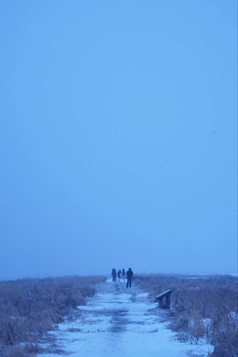 りゅう tweet media