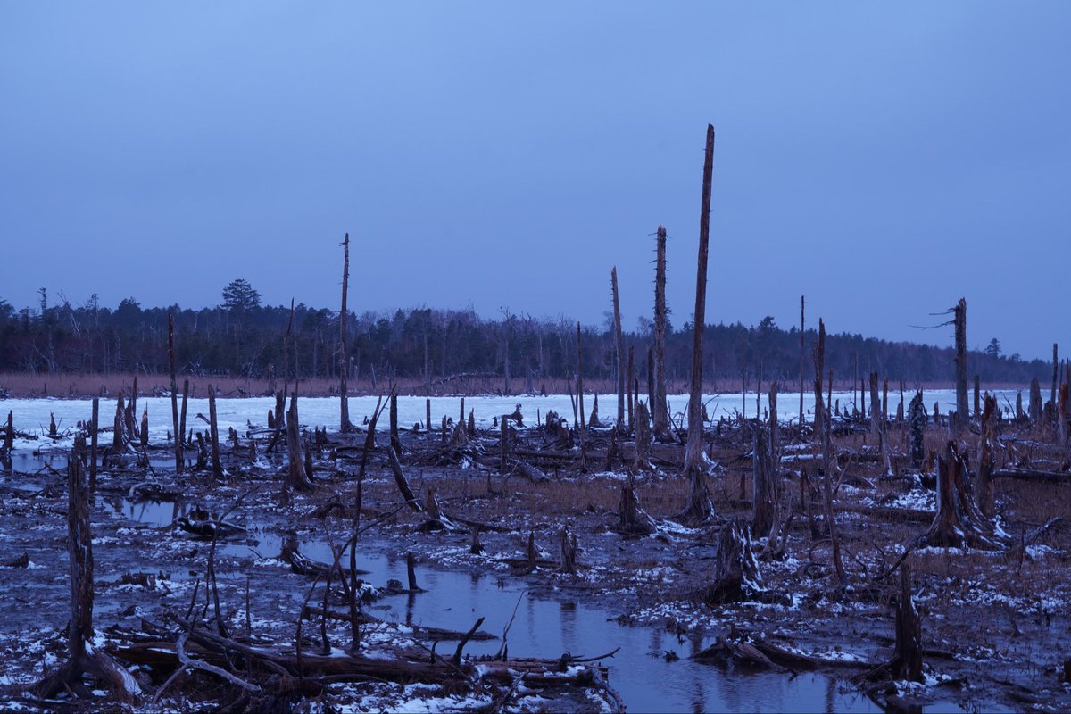 りゅう tweet media