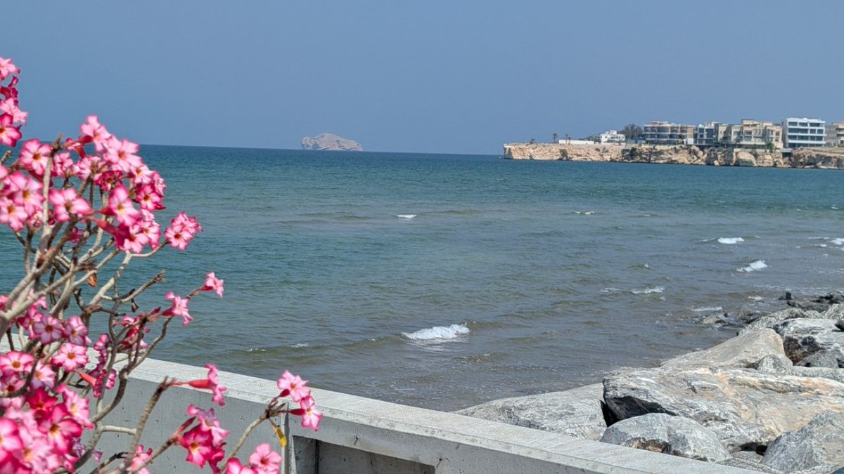 Soups Ranjan tweet media