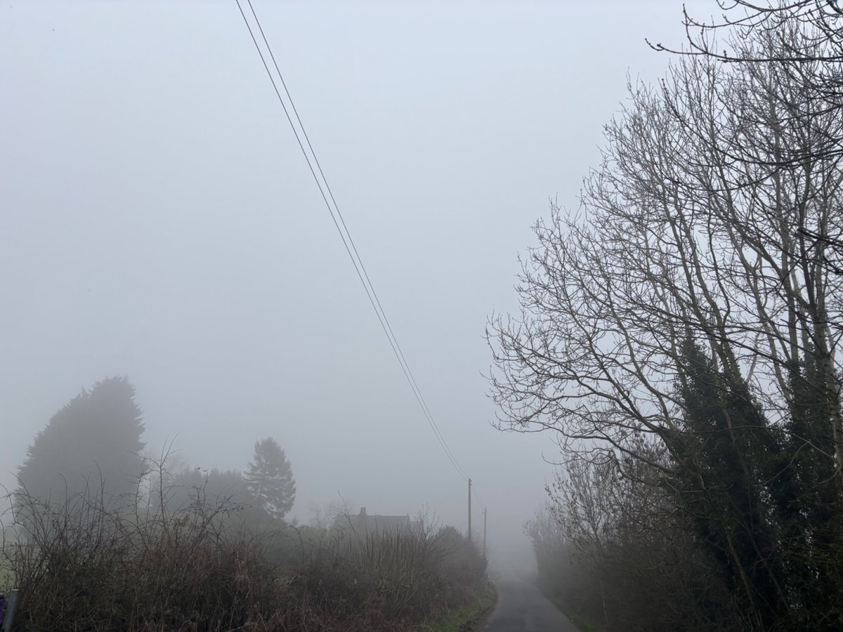 Scam demic tweet media