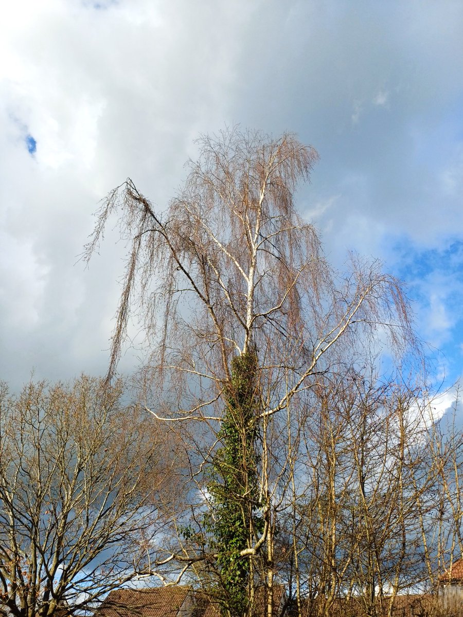 pac1610's tweet photo. Saturday's changing sky on #mywalk! π©΅βοΈβ
οΈβοΈπ©΅ @ThePhotoHour @StormHour @StormHourMark #Worcester #weatherphotography #UKWeather https://t.co/xzjVXW03GP