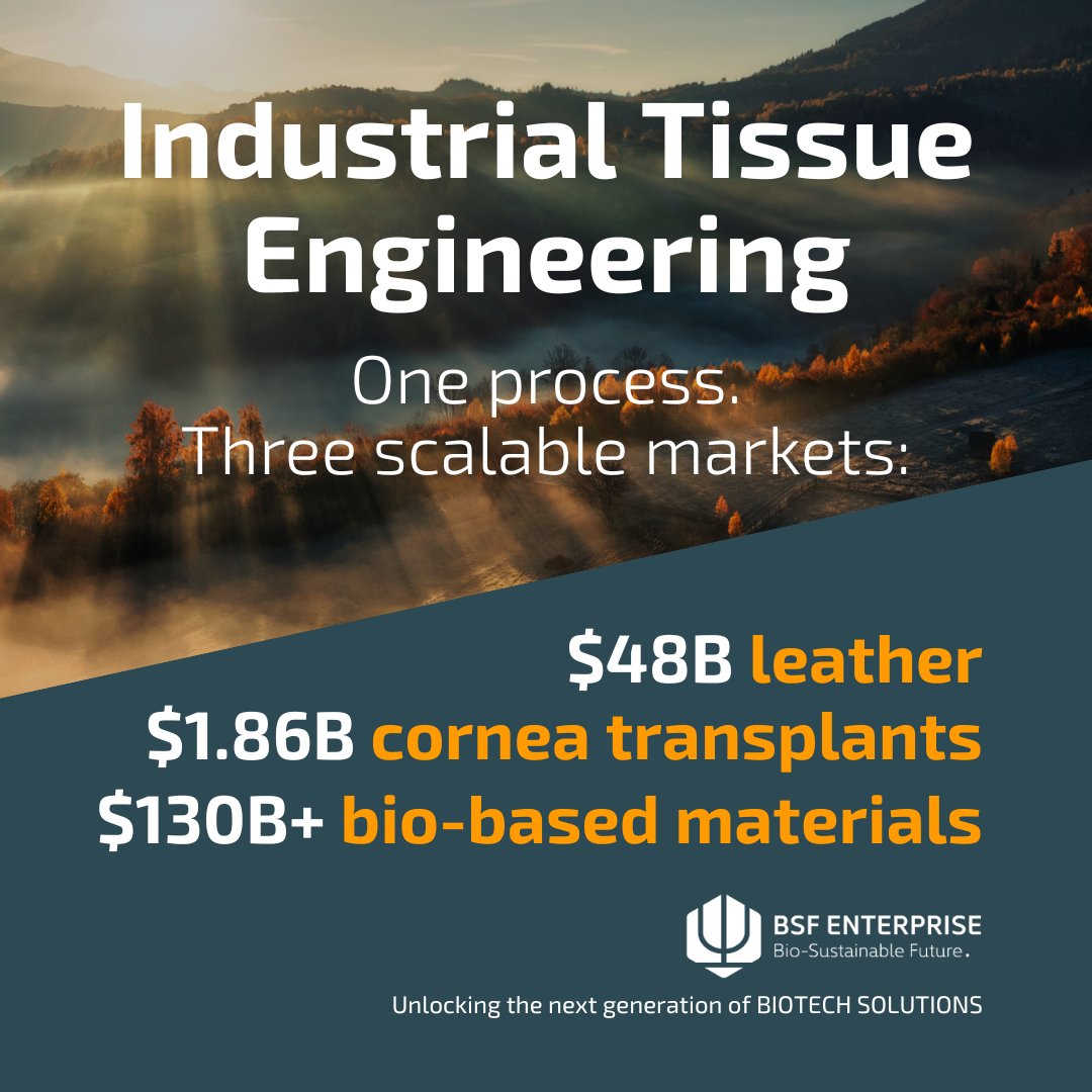 BSF Enterprise tweet media