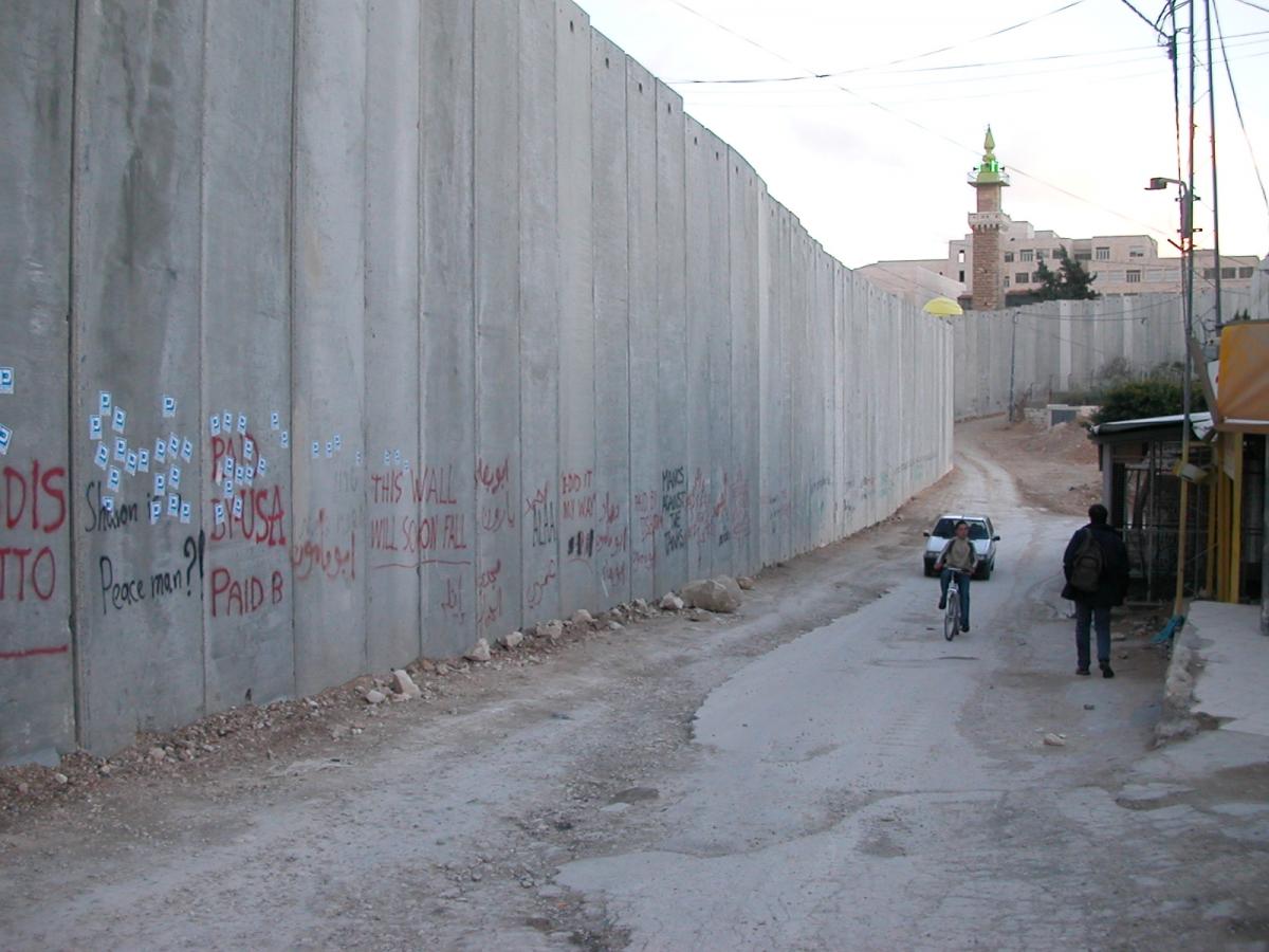 AlejandraORF tweet media