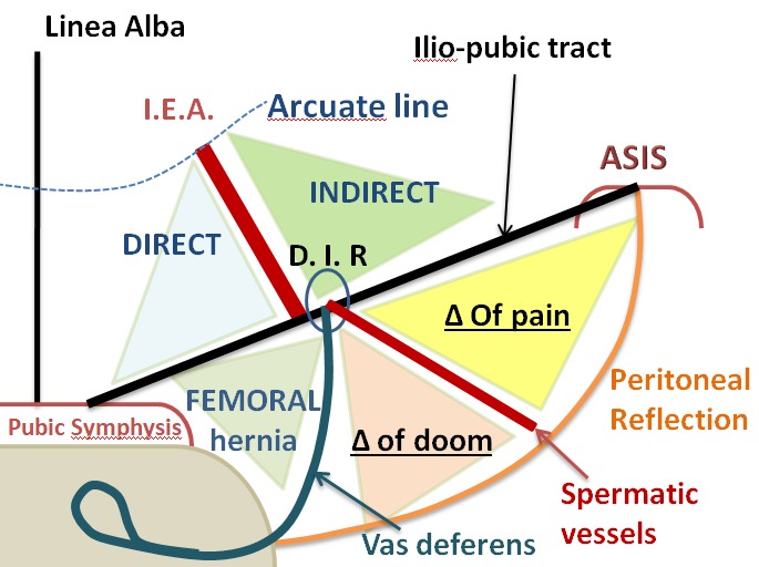 Liver & Digestive Diseases Clinic tweet media