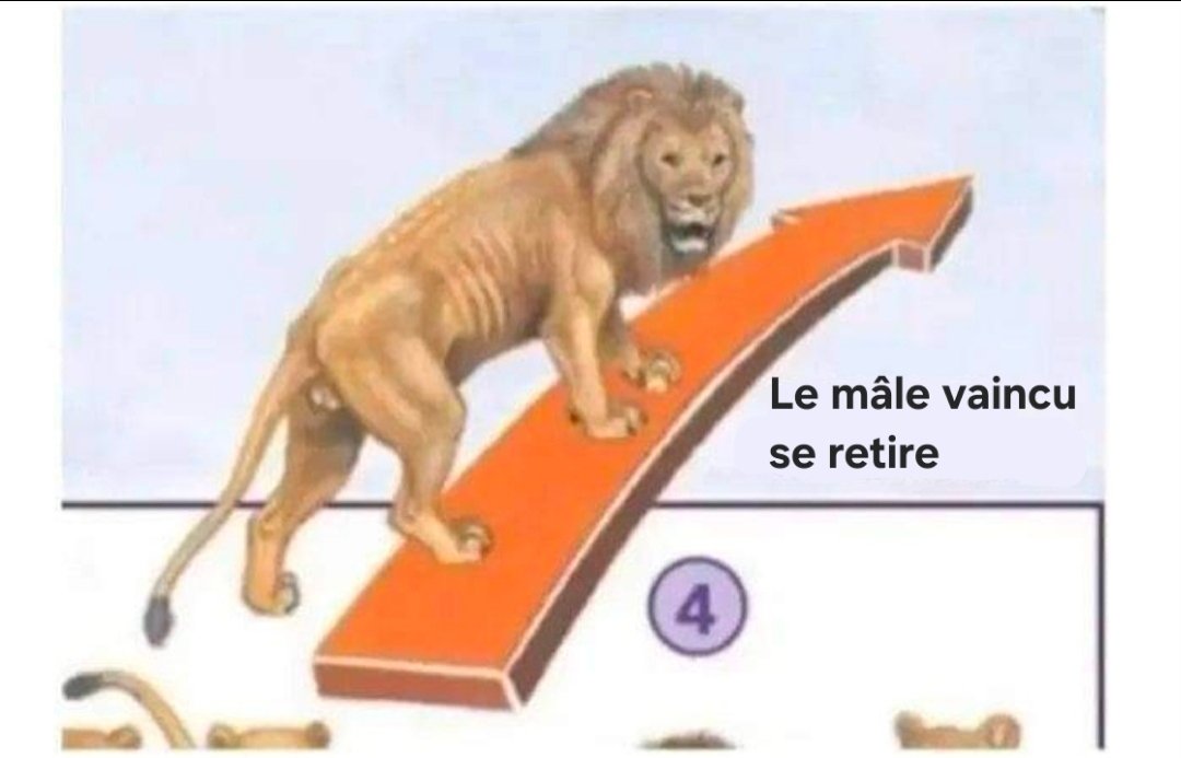 patrick vernou tweet media