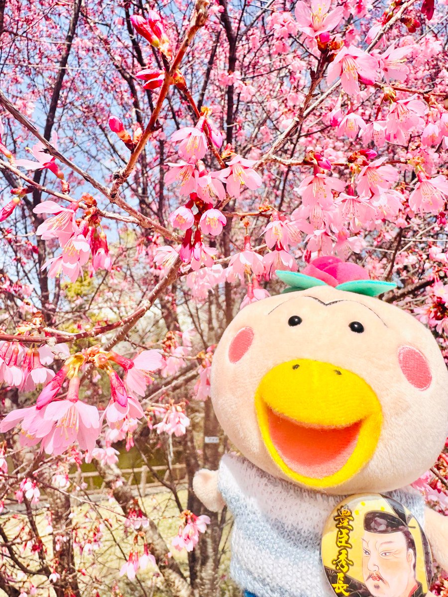 あきやまえみ tweet media