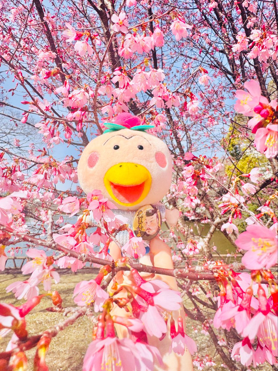 あきやまえみ tweet media