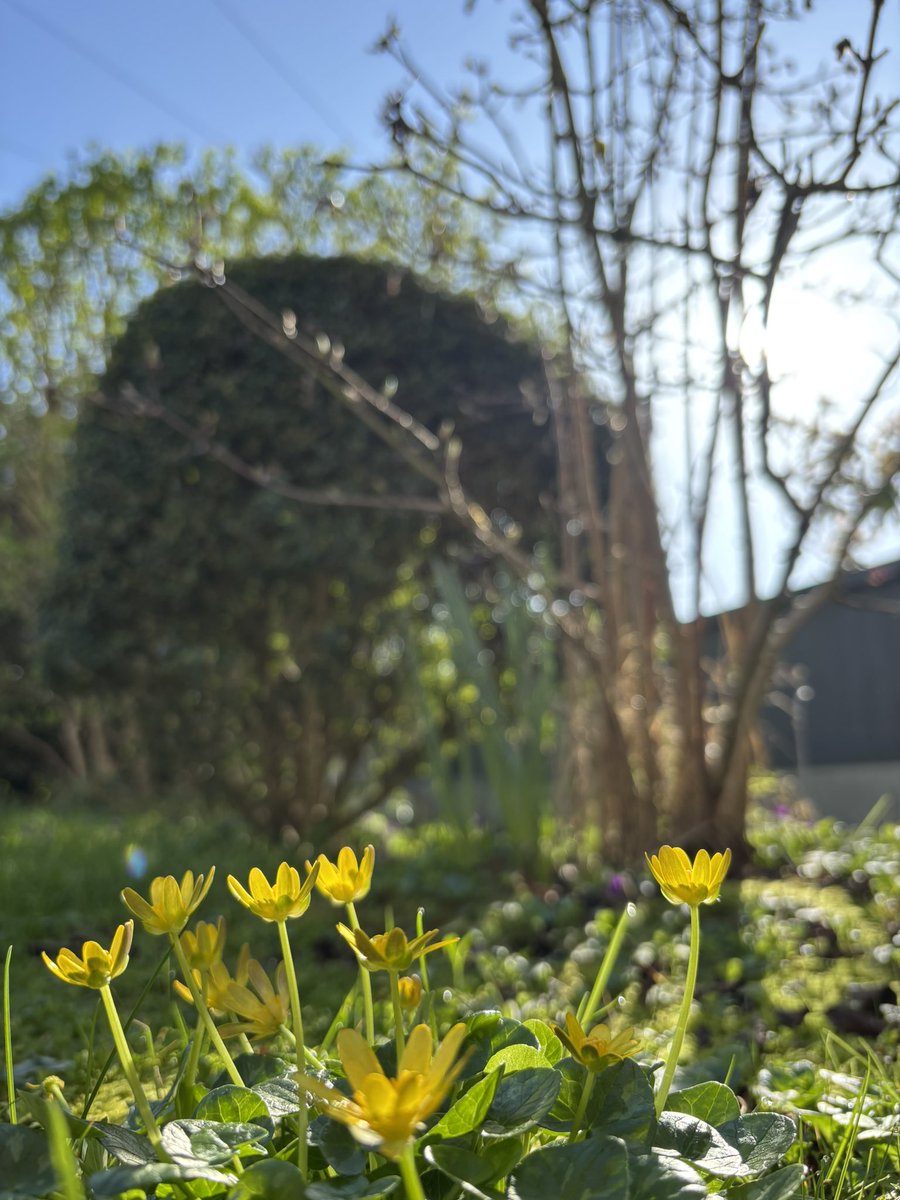 It’s a beautiful day….

Sunny, highs of 16-18°c today.