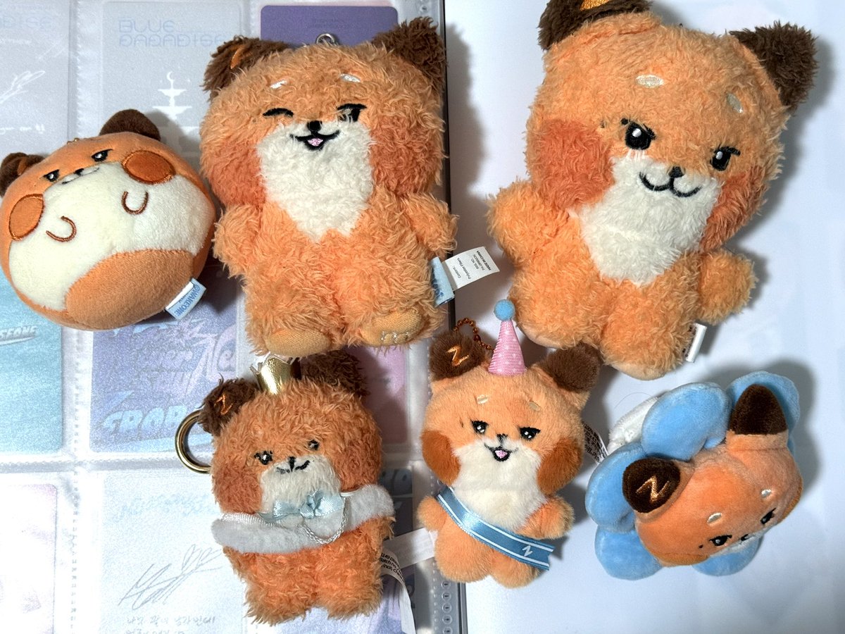 @固定ご確認ください tweet media