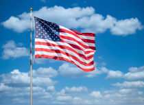 HINT News tweet media